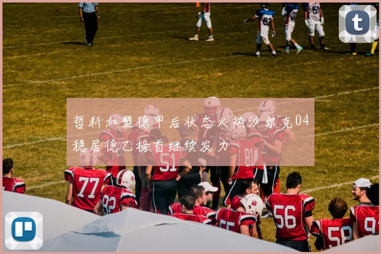 哲科加盟德甲后状态火热沙尔克04稳居德乙榜首继续发力
