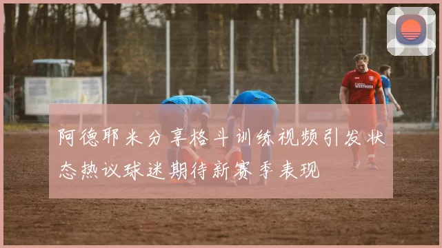 阿德耶米分享格斗训练视频引发状态热议球迷期待新赛季表现